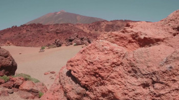 Wild Canary Islands (2021) download