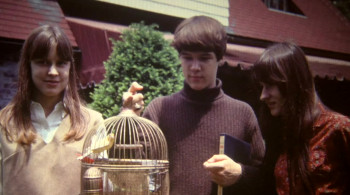 Wild Combination: A Portrait of Arthur Russell (2008) download