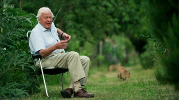 Wild London (2026) download