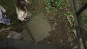 Wild Nights with Emily (2018) download