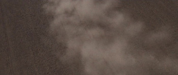 Wilding (2023) download