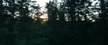 Witch Hunter (2024) download