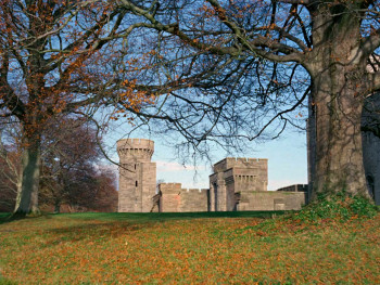 Wolfshead: The Legend of Robin Hood (1973) download