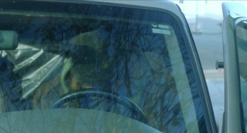 Wolves Against the World (2024) download