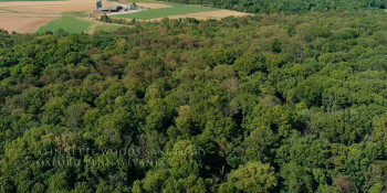 Womb (2025) download