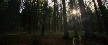 Woodland (2023) download