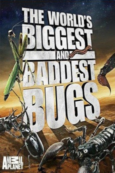 World's Biggest and Baddest Bugs (2004) download