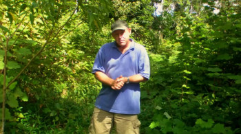 World's Biggest and Baddest Bugs (2004) download