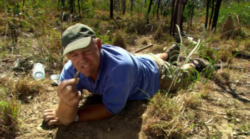 World's Biggest and Baddest Bugs (2004) download