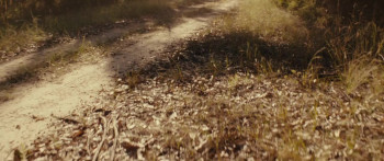 Wyrmwood: Apocalypse (2021) download