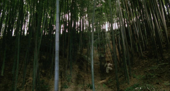 Takeru Yamato (1994) download