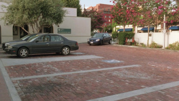 Year of the Dog (2007) download