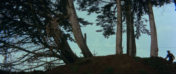 Yellow-Faced Tiger (1974) download