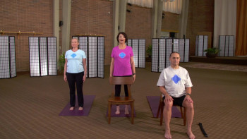 Yoga for the Rest of Us with Peggy Cappy: Easy Yoga for Diabetes (2016) download