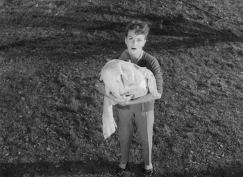 Young Wives' Tale (1951) download