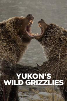 Yukon's Wild Grizzlies (2021) download