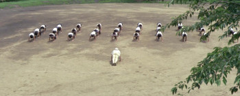 Yumeno Kyusaku's Girl Hell (1977) download