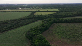 Zurawski v Texas (2024) download