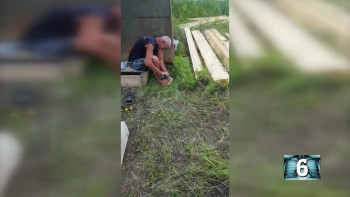 101 Body Shocks (2020) download