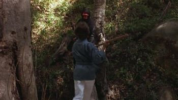 3 Ninjas Kick Back (1994) download
