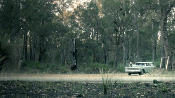 3rd Night (2017) download