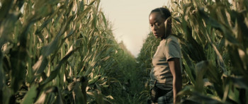 40 Acres (2024) download