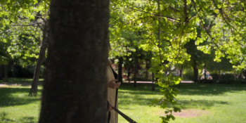 53 Sundays (2026) download