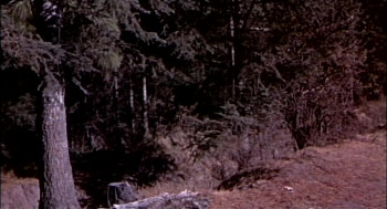 7th Cavalry (1956) download