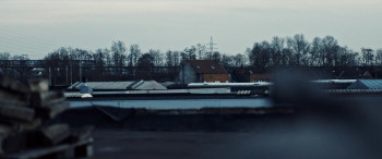 A Bluebird in My Heart (2018) download