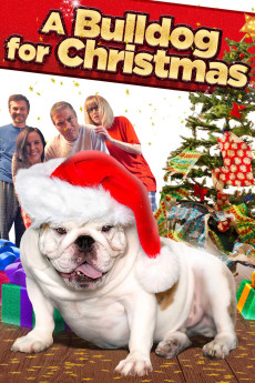 A Bulldog for Christmas (2013) download