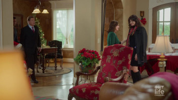 A Christmas Murder Mystery (2025) download