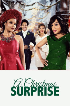A Christmas Surprise (2020) download