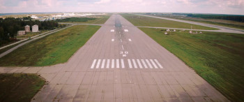 A Dog Named Palma (2021) download