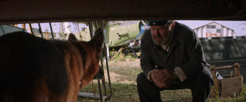 A Dog Named Palma (2021) download