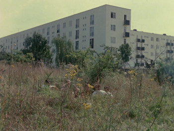 A Film Like Any Other (1968) download