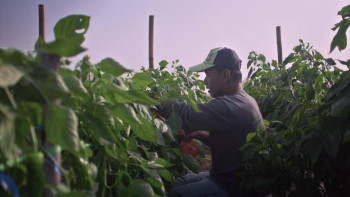 A Holy Family (2022) download