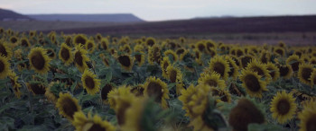 A Life of Speed: The Juan Manuel Fangio Story (2020) download