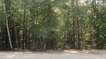 A Maine Movie (2018) download