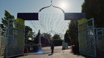 A Nice Indian Boy (2024) download