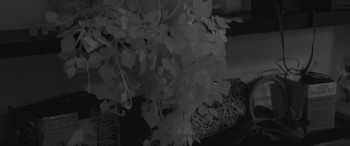 A Paris Education (2018) download