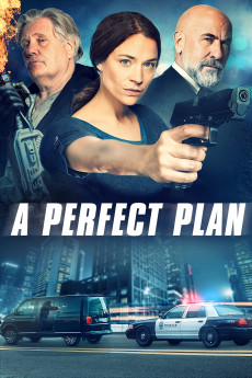 A Perfect Plan (2020) download