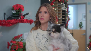 A Royal Christmas Tail (2025) download