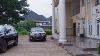 A Successful Woman (2025) download