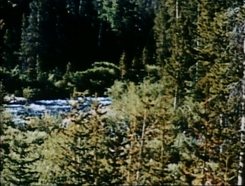 A Tale of Two Critters (1977) download