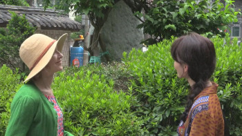 A Traveler's Needs (2024) download