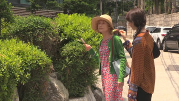 A Traveler's Needs (2024) download