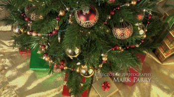 A Very Merry Toy Store (2017) download