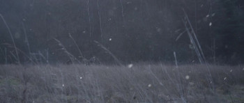 A Viking Saga: The Darkest Day (2013) download