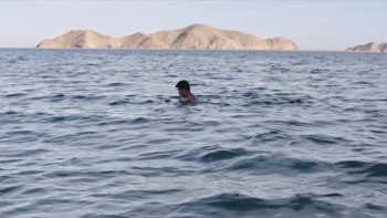 A Wild Stream (2018) download