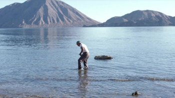 A Wild Stream (2018) download